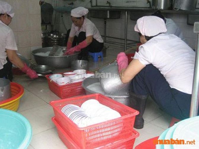 Tạp vụ rửa chén nhà hàng Nhật