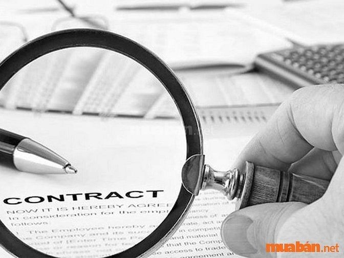  Đọc kỹ các điều khoản trong hợp đồng
