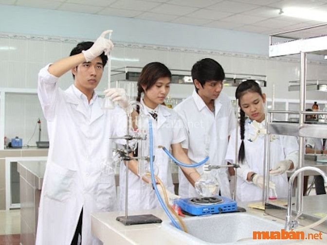 Những ứng viên nhanh nhẹn, linh hoạt sẽ dễ dàng thay đổi để phù hợp với môi trường làm việc mới