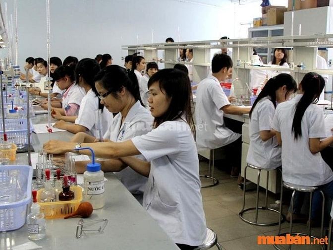 Tìm việc làm dược phẩm TPHCM uy tín, chất lượng tại Muaban.net