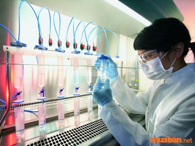 CRA là người chịu trách nhiệm giám sát và đảm bảo các nghiên cứu 