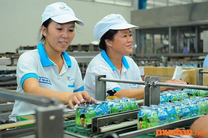 Nên chọn việc làm phù hợp với khả năng