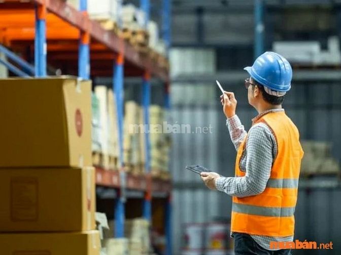 Công việc của nhân viên kho liên quan đến quản lý và điều hành hoạt động trong kho