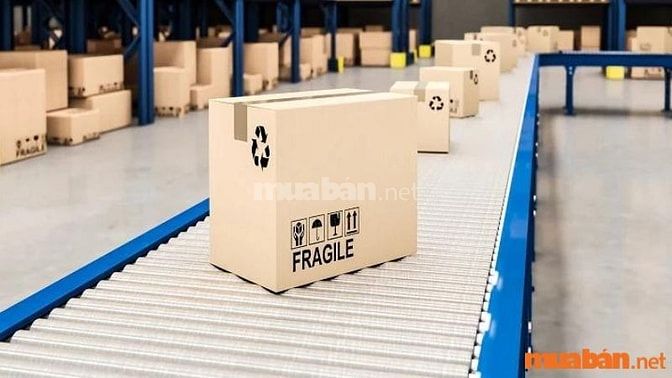 Mức lương công việc làm bốc xếp bia