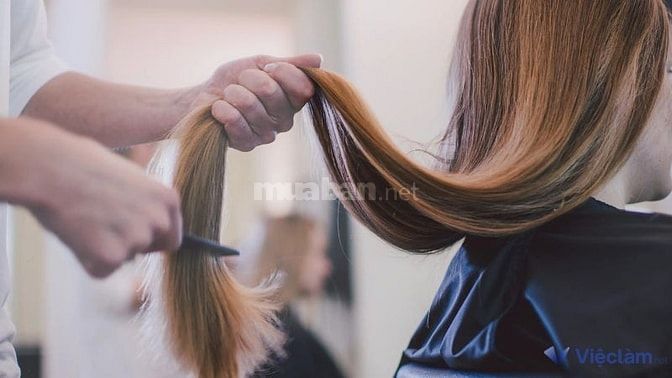 Một số kỹ năng thợ phụ tóc cần có