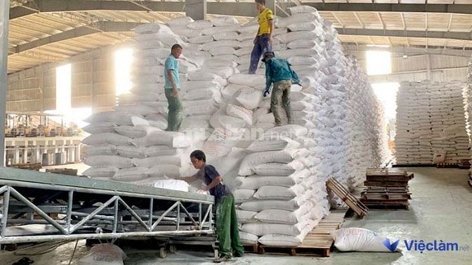  Lưu ý khi tìm việc làm bốc xếp trả lương ngày tại Hải Phòng