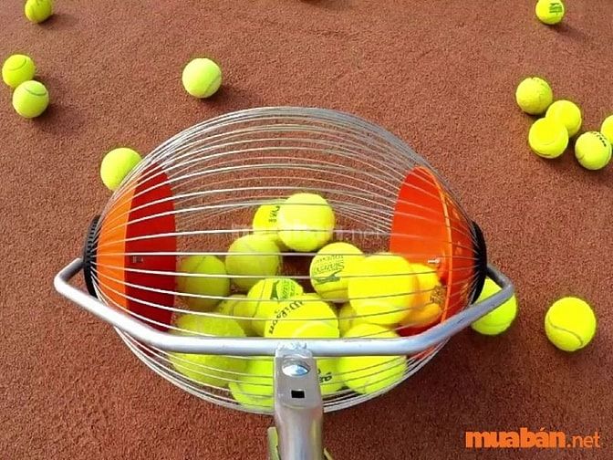 việc làm nhặt bóng tennis TP.HCM 