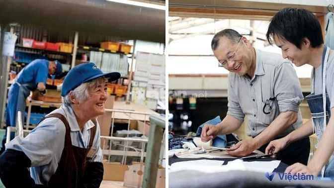  Tìm việc làm cho người trên 50 tuổi tại Vieclam.net