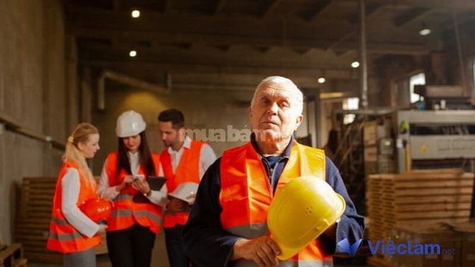  Tình hình tuyển dụng việc làm cho người trên 50 tuổi hiện nay