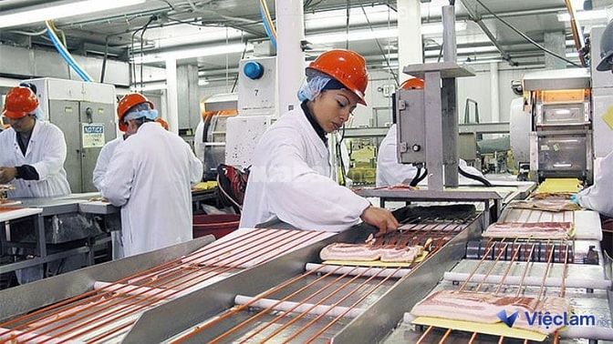  Công nhân sản xuất thực phẩm