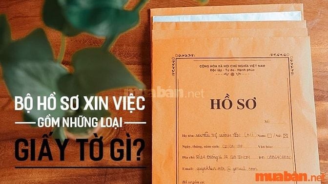 Chuẩn bị hồ sơ xin việc