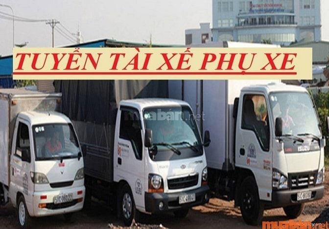 Nhu cầu tuyển dụng phụ xe trên thị trường