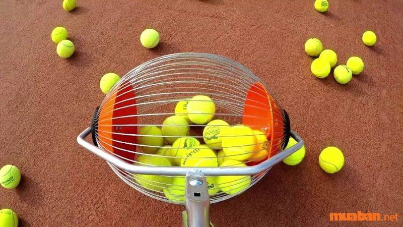 Nhân viên nhặt bóng tennis