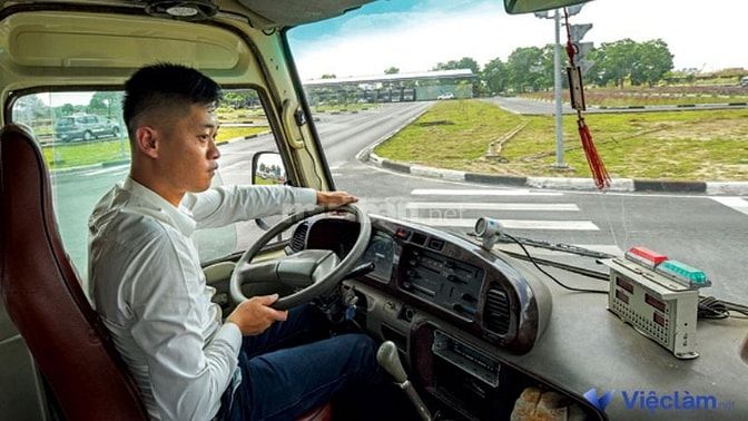 Lái xe cần có bằng lái xe hạng D
