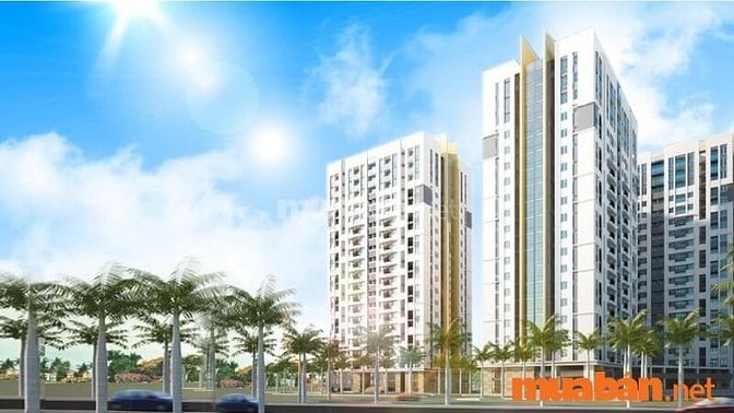 Tình hình thị trường mua bán chung cư Sen Hồng mới nhất T6/2025