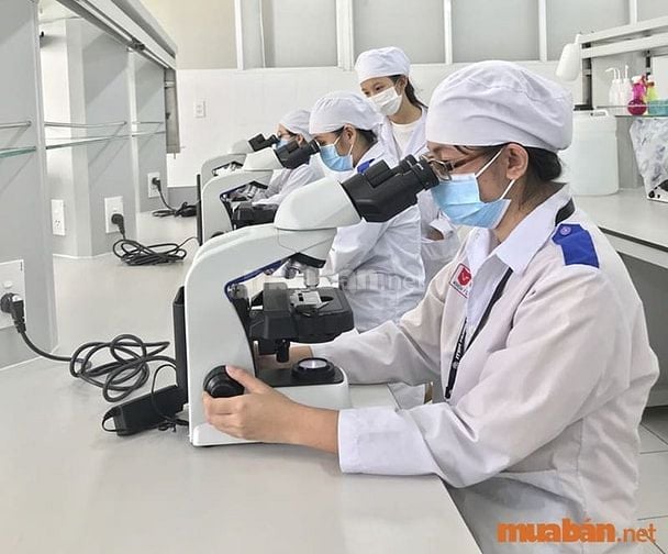 Tìm việc làm kỹ thuật viên xét nghiệm trên trang muaban.net