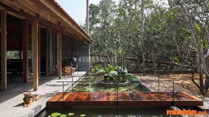 Khi thuê nhà vườn bạn cần kiểm tra kỹ nơi ở, hợp đồng và mức giá