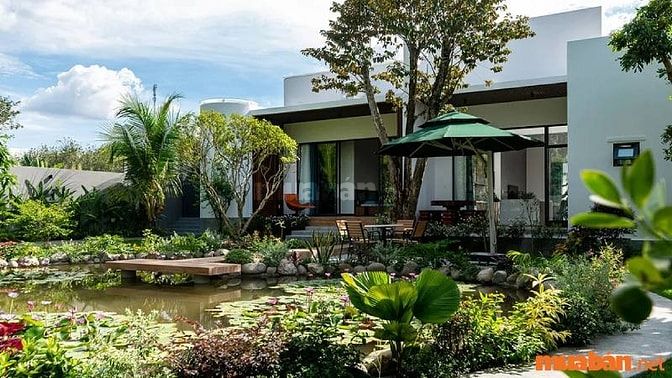 Nhu cầu lớn về tìm kiếm không gian sống xanh và gần gũi với thiên nhiên