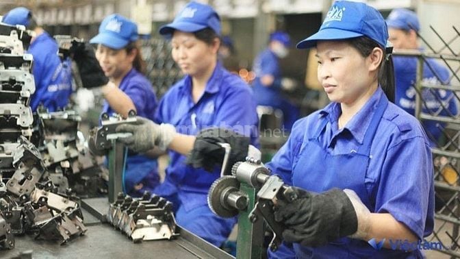 Thị trường việc làm tại TP.Thuận An, Bình Dương hiện nay