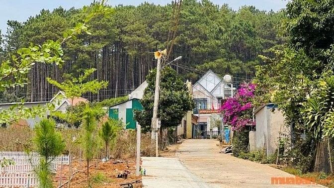 Đất thổ cư trong hẻm Đà Lạt