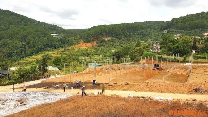 Mua bán đất tại Đà Lạt 