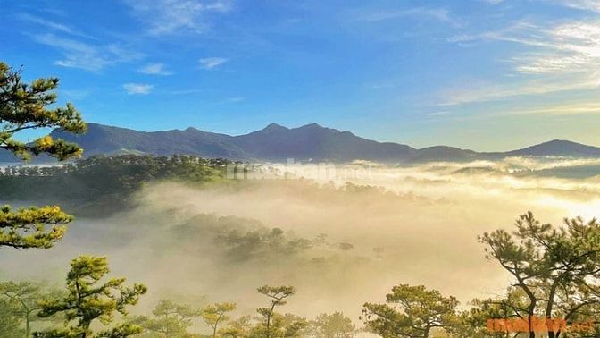 Khí hậu tại Đà Lạt 