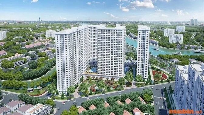 Tìm hiểu kỹ lưỡng các thông tin về dự án