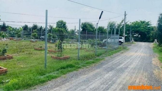  Mua bán đất vườn Tiền Giang uy tín, giá rẻ 