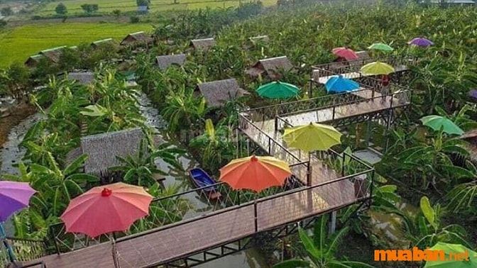 Đất vườn huyện Châu Thành