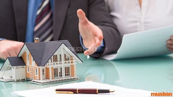Kiểm tra các vấn đề pháp lý