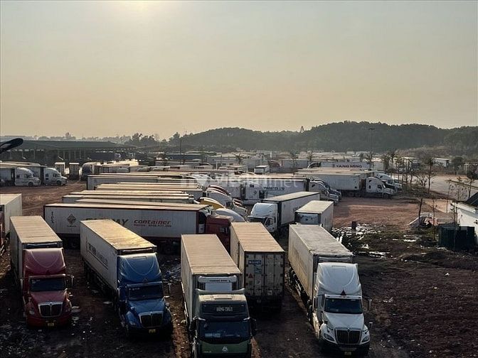 Pleiku có hai khu công nghiệp lớn là KCN Tây Pleiku và KCN Trà Đa nên nhu cầu tuyển tài xế xe container tại đây cũng khá cao
