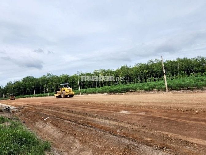 Hiểu rõ mục đích sử dụng đất để thuê loại đất phù hợp