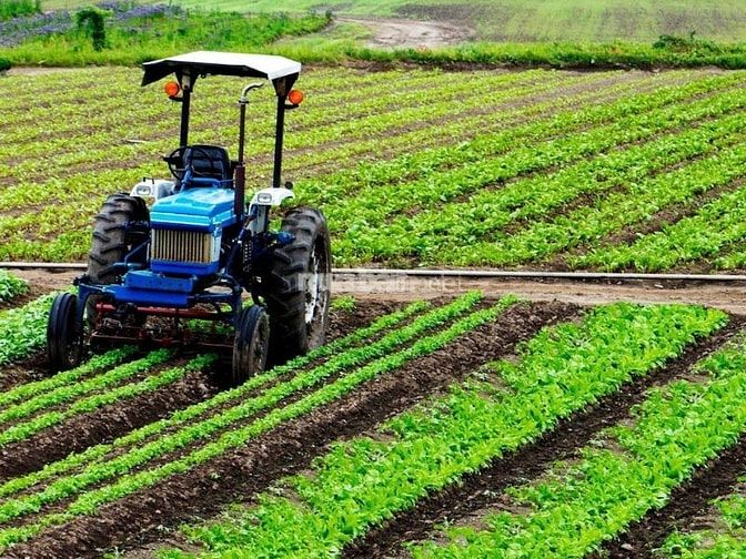 Tham khảo kỹ lưỡng giá thuê đất trang trại Bình Thuận giúp chọn được mức giá thuê hợp lý