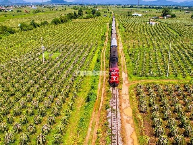 Giá cho thuê đất trang trại Bình Thuận biến động tùy thuộc vào nhiều yếu tố