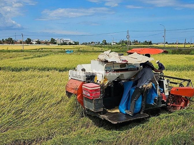 Xác định rõ nhu cầu thuê đất trang trại giúp bạn tiết kiệm thời gian tìm kiếm