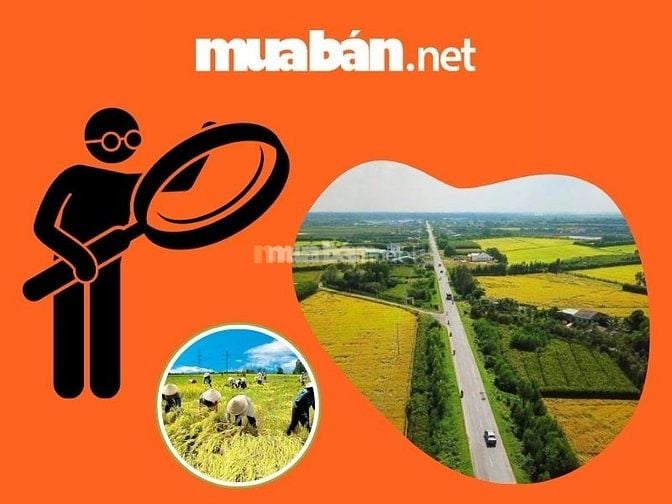 Tìm thuê đất nông nghiệp giá rẻ, chính chủ tại Muaban.net 