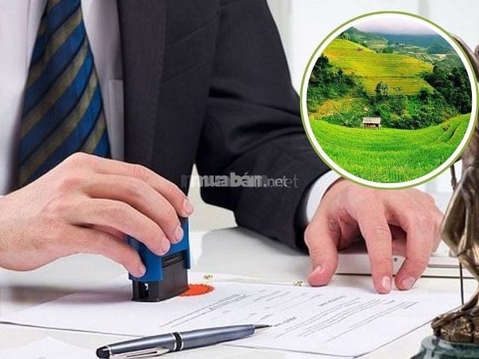  Thủ tục thuê đất nông nghiệp cho hộ gia đình, cá nhân