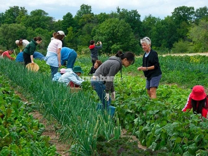 Tiềm năng phát triển kinh tế khi đầu tư trang trại ở Bình Định