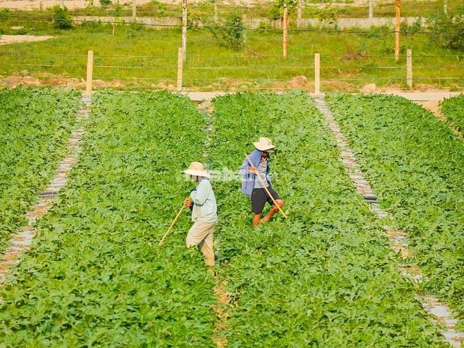  Tiềm năng phát triển kinh tế
