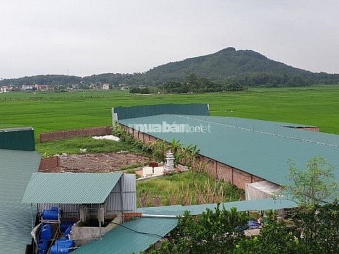 Một số lưu ý khi mua đất trang trại tại Phù Ninh