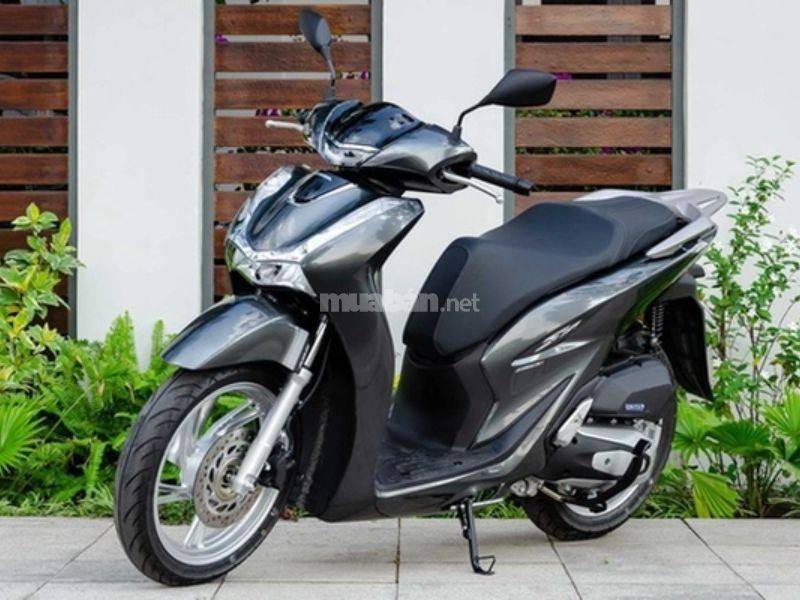 Kiểm tra tổng thể xe trước khi mua 