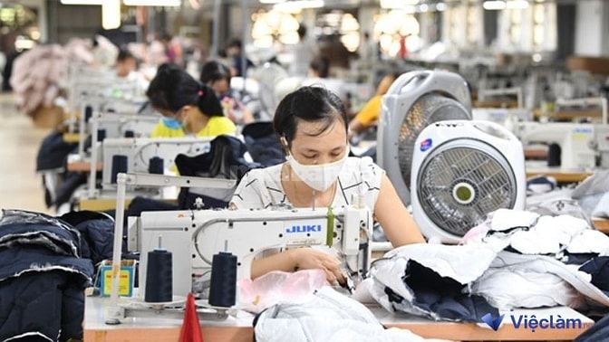 Thợ may tại công ty, xí nghiệp