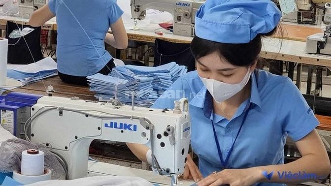 Thợ chính may mẫu có nhiệm vụ tạo ra các mẫu sản phẩm may mặc ban đầu