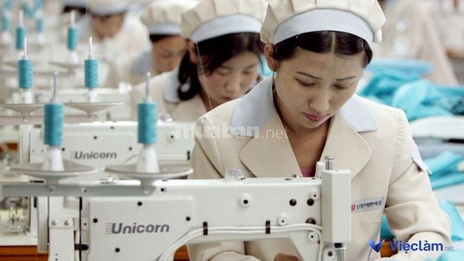 Nhu cầu tuyển thợ may tại Thanh Xuân, Hà Nội đang tăng cao