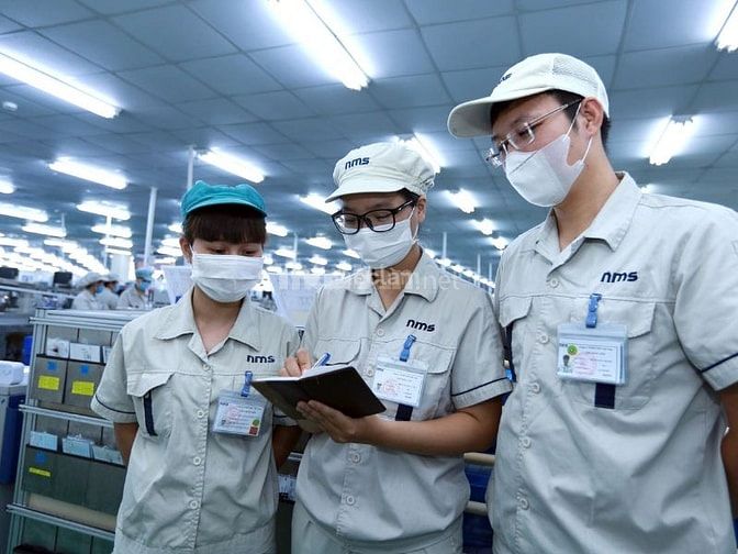Nhu cầu việc làm tại Ba Tri có nhiều chuyển biến tích cực