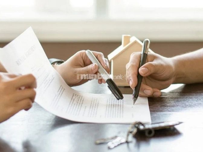 Đọc kỹ các điều khoản trong hợp đồng