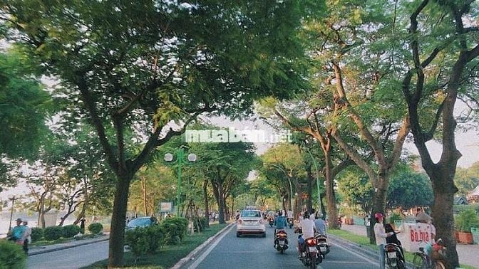  Thành Phố Quy nhơn đang trên đà phát triển nên hạ tầng giao thông được đầu tư phát triển