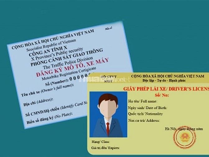 Kiểm tra giấy tờ xe cẩn thận