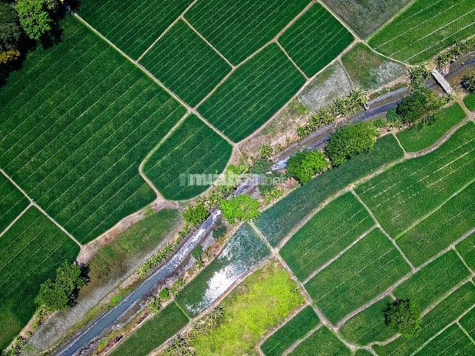Xem xét các tiện ích và môi trường trang trại trước khi quyết định thuê