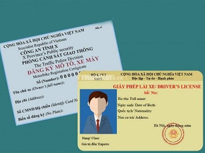  Kiểm tra giấy tờ xe là một bước vô cùng quan trọng